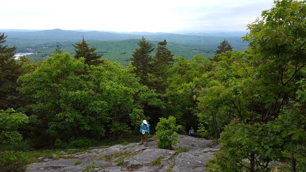 Monadnock-011-2018-06-05 Monte Rosa Hike with rock ledges and view